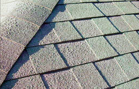 Blisters On Roof Shingle