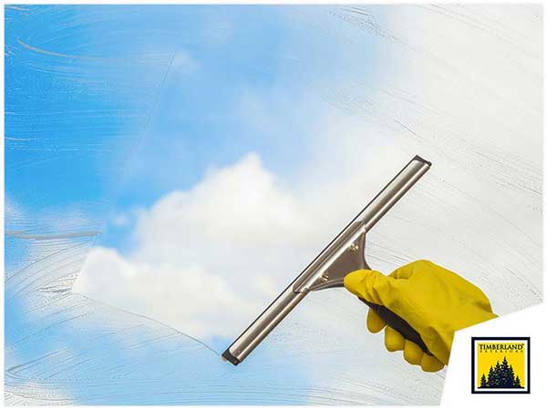 window cleaning how often should you do it
