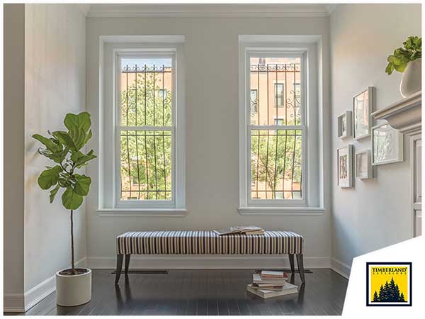 windows and passive ventilation what you should know